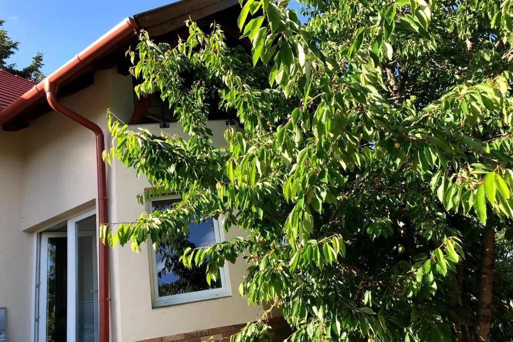 'New' Sunkissed Villa On The Old Hill บาลาโตนัลมาดี ภายนอก รูปภาพ