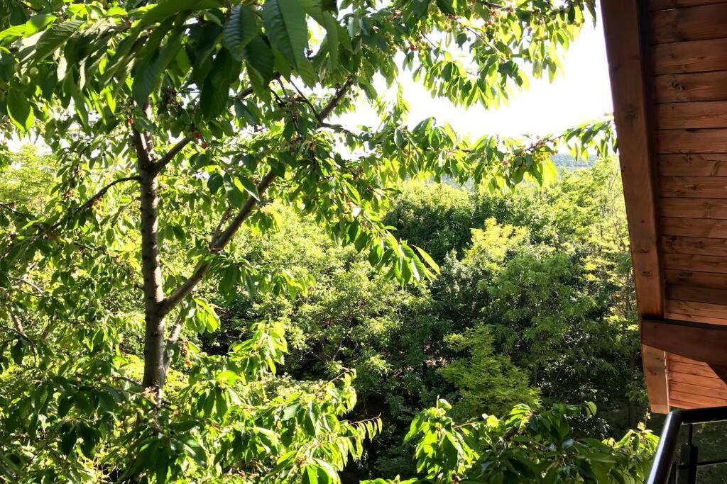 'New' Sunkissed Villa On The Old Hill บาลาโตนัลมาดี ภายนอก รูปภาพ